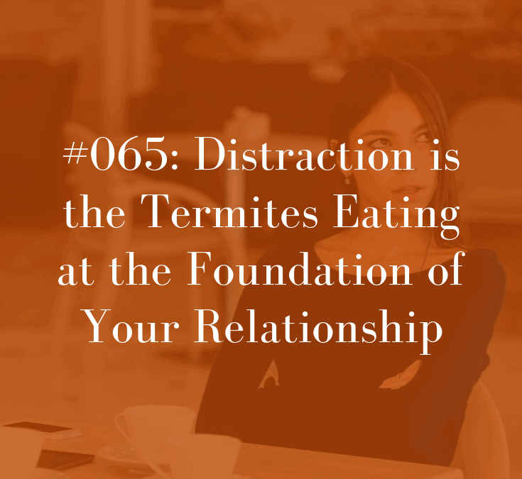 065 Distraction is the Termites Eating at the Foundation of Your Relationship