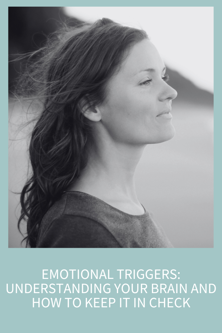 Emotional Triggers: Understanding Your Brain and How to Keep It in Check (Podcast Episode 324)