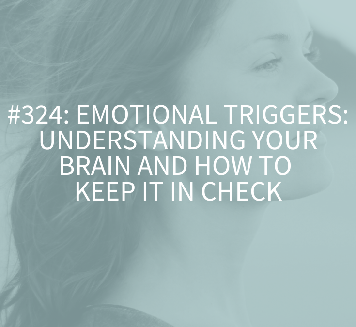 Emotional Triggers: Understanding Your Brain and How to Keep It in Check (Podcast Episode 324)