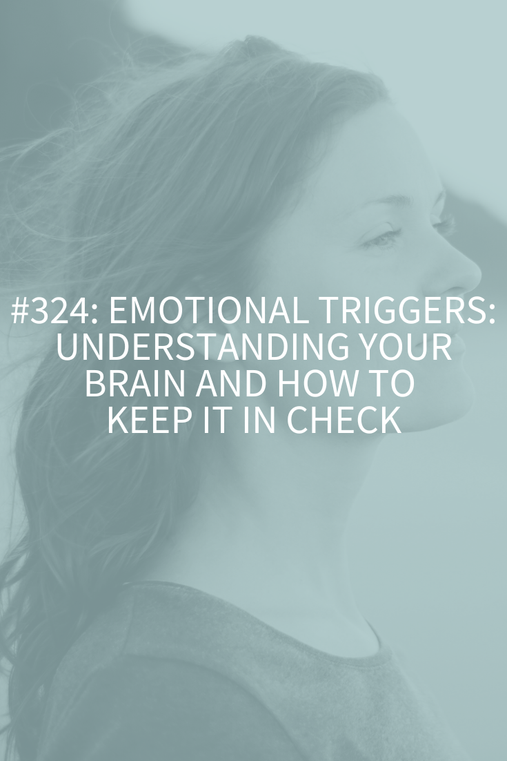 Emotional Triggers: Understanding Your Brain and How to Keep It in Check (Podcast Episode 324)